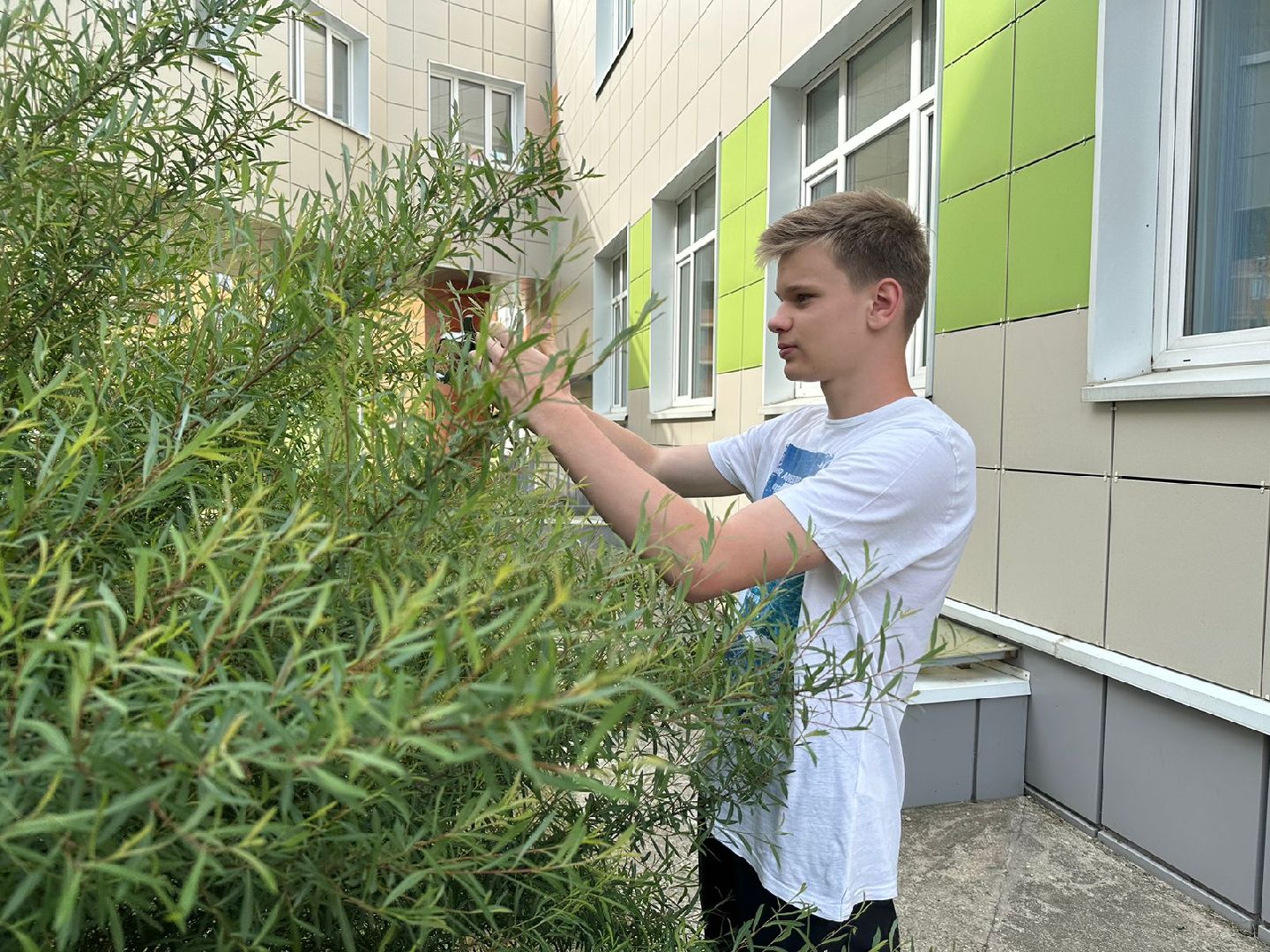 Трудовая смена, школьный лагерь, Наро-Фоминск