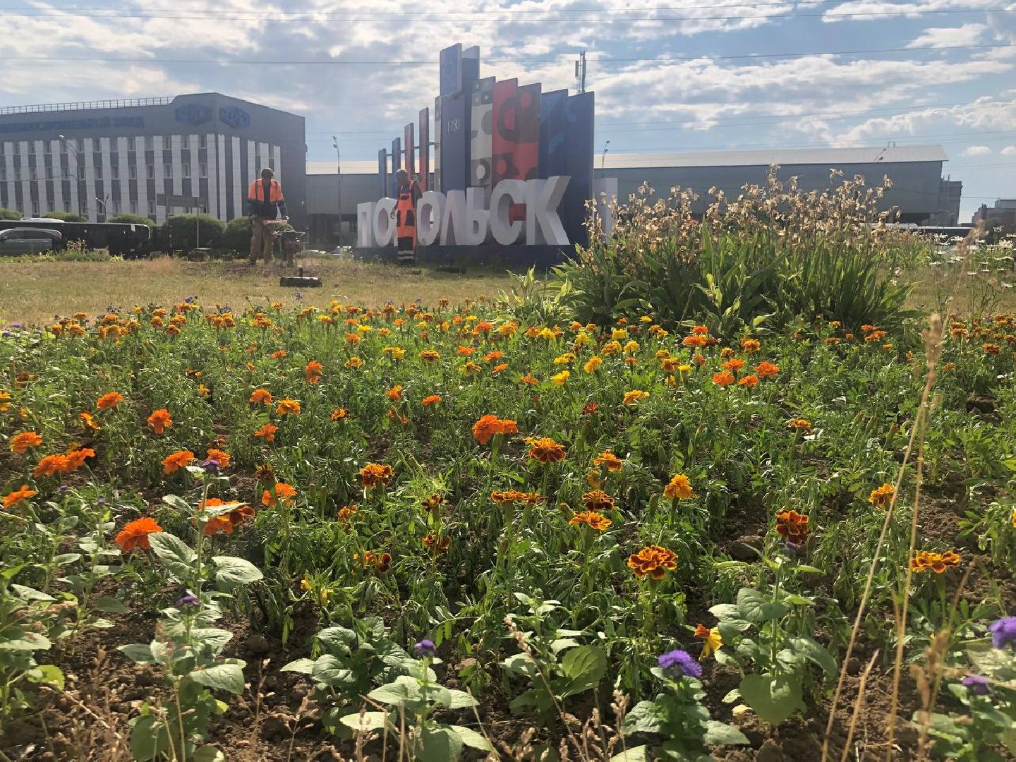 Подольск, цветы, благоустройство, клумбы
