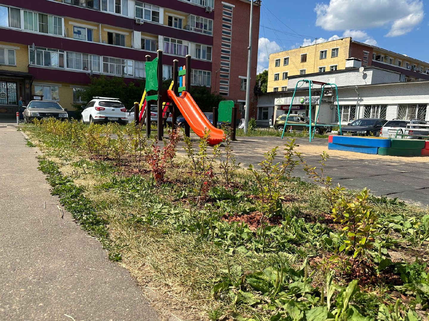 Живые изгороди, благоустройство, Селятино, ГУСТ
