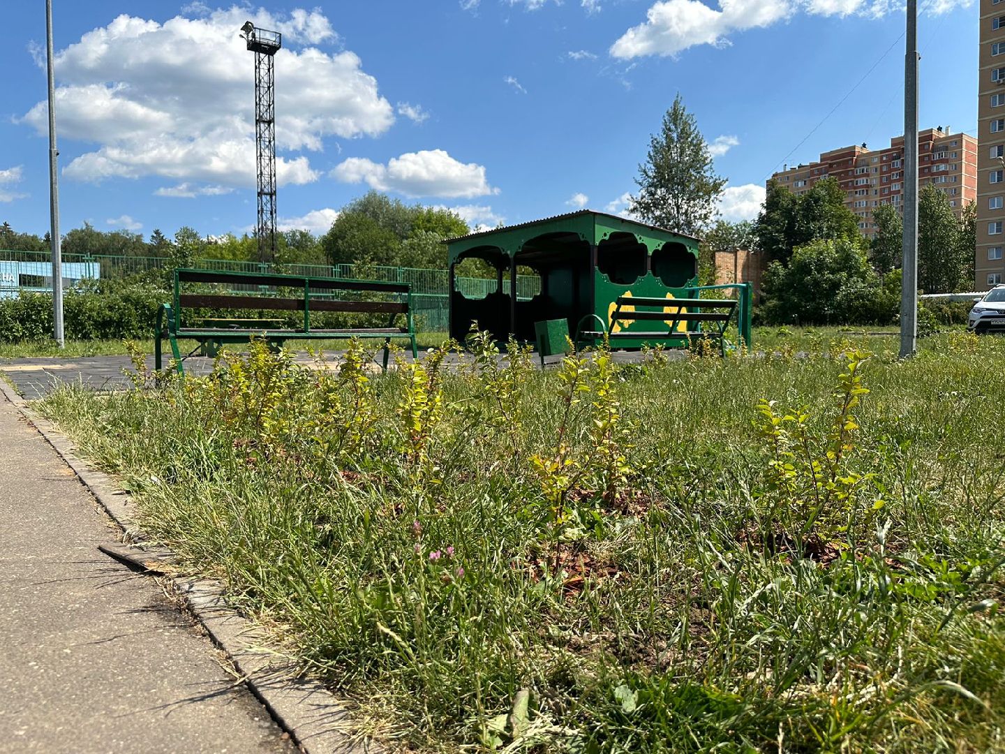 Живые изгороди, благоустройство, Селятино, ГУСТ