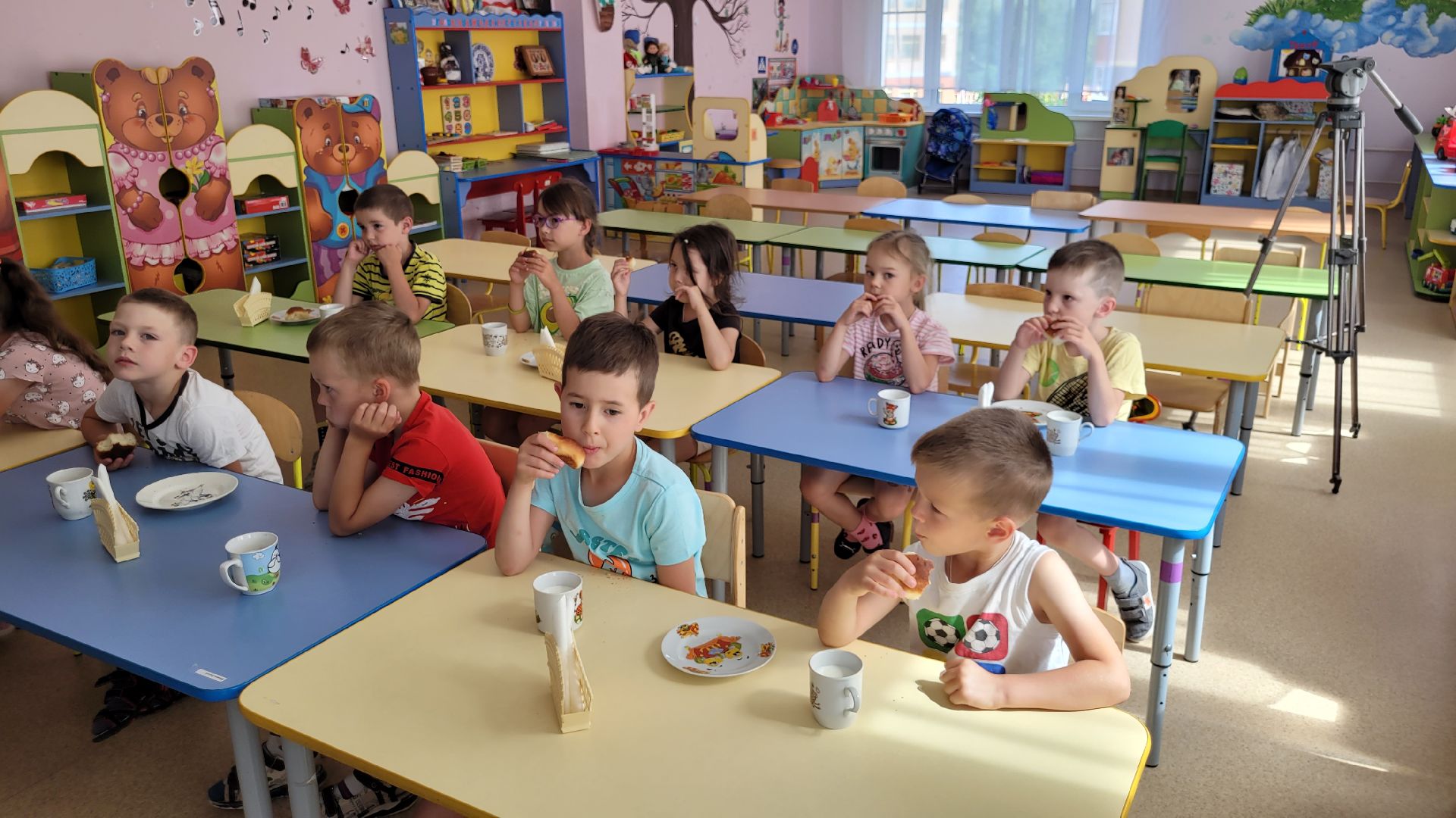 сертификат; видное; воспитатель; социальная поддержка