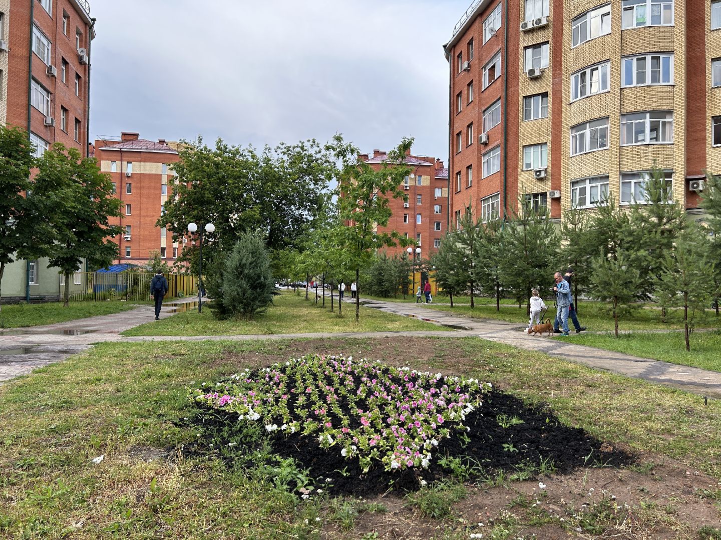 благоустройство, цветы, жители, Фрязино