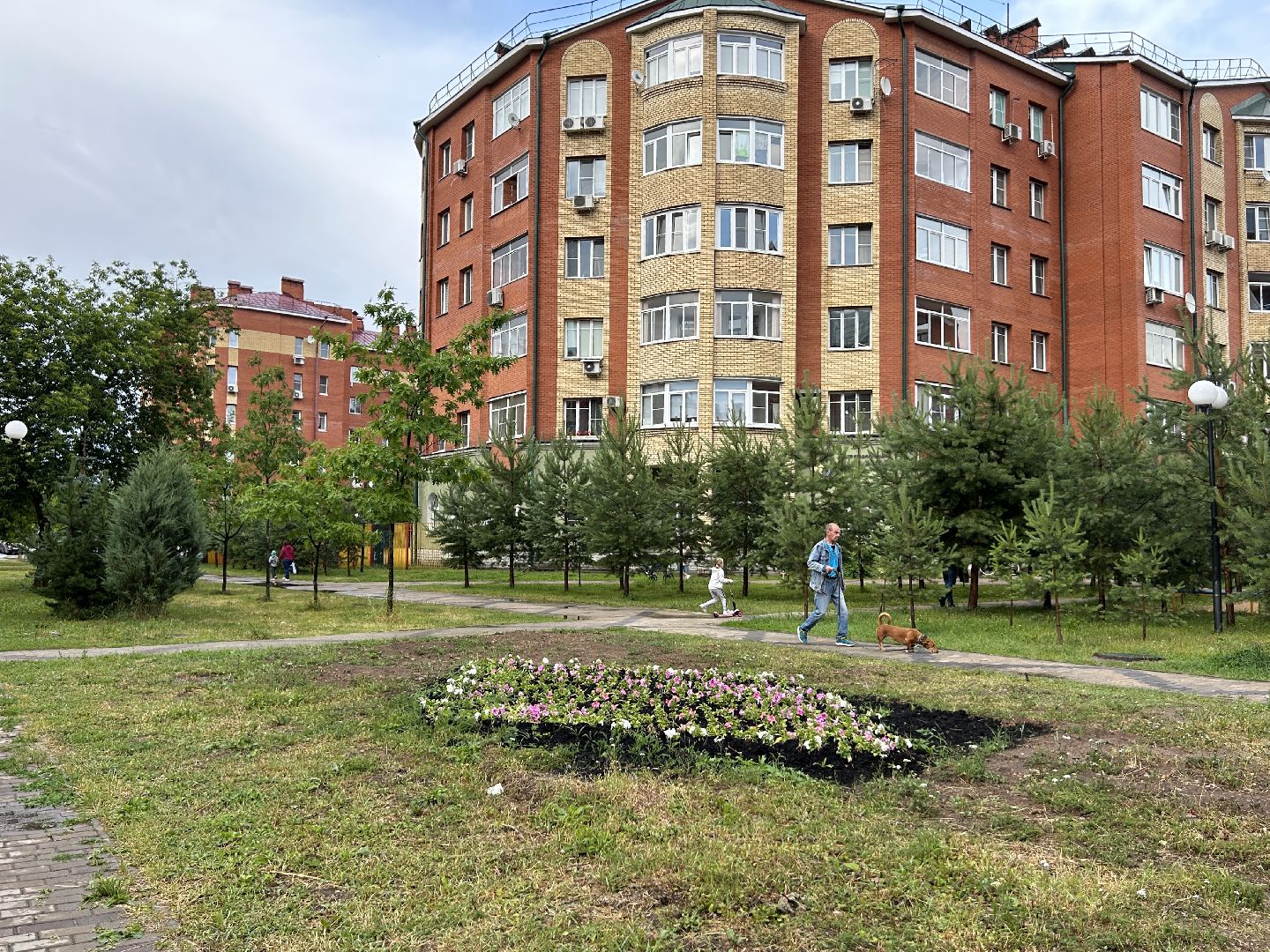 благоустройство, цветы, жители, Фрязино