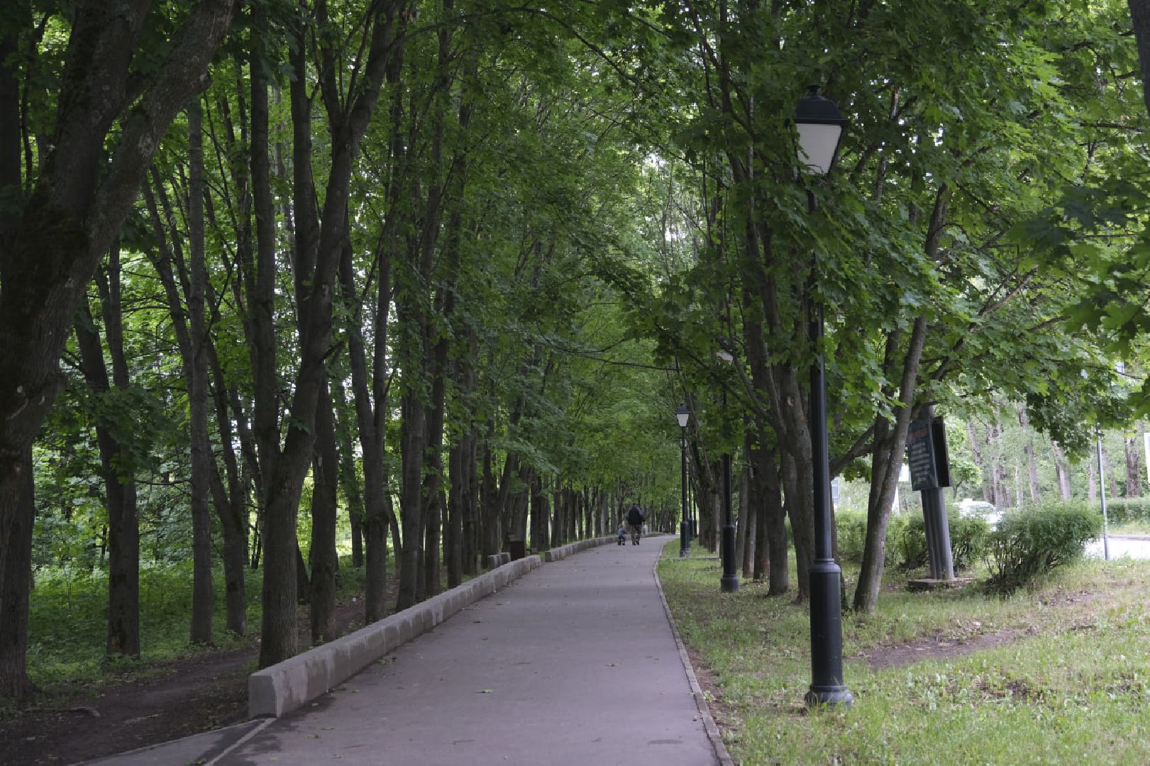 Пущино, экскурсия, Великая Отечественная Война, культура