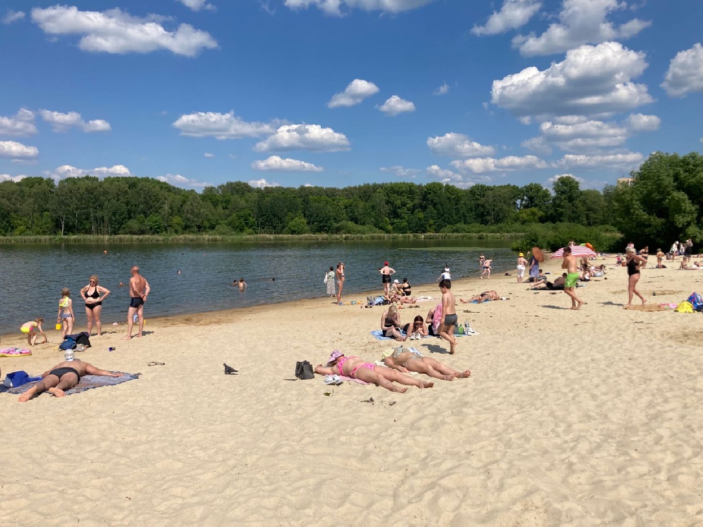 Солнечногорск, Сенеж, отдых, пляж, лето