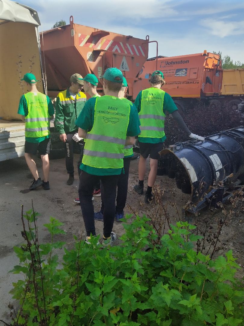 Долгопрудный, благоустройство, ЖКХ, озеленение, ЛТО, трудоустройство, подростки