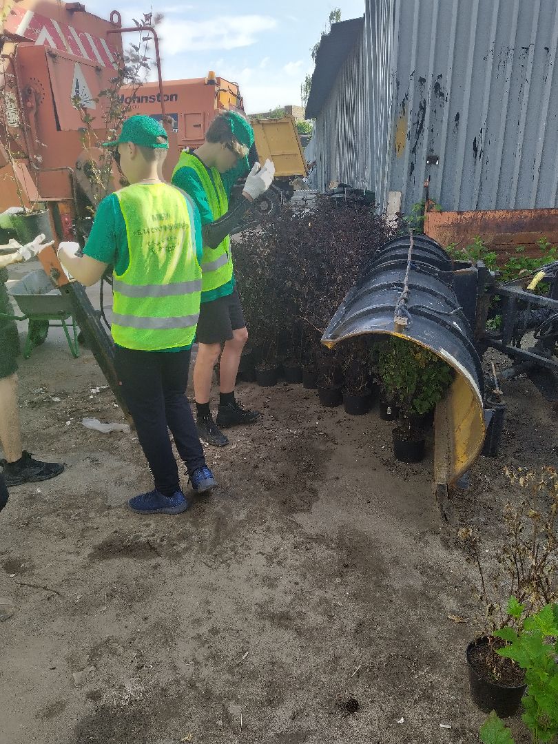 Долгопрудный, благоустройство, ЖКХ, озеленение, ЛТО, трудоустройство, подростки