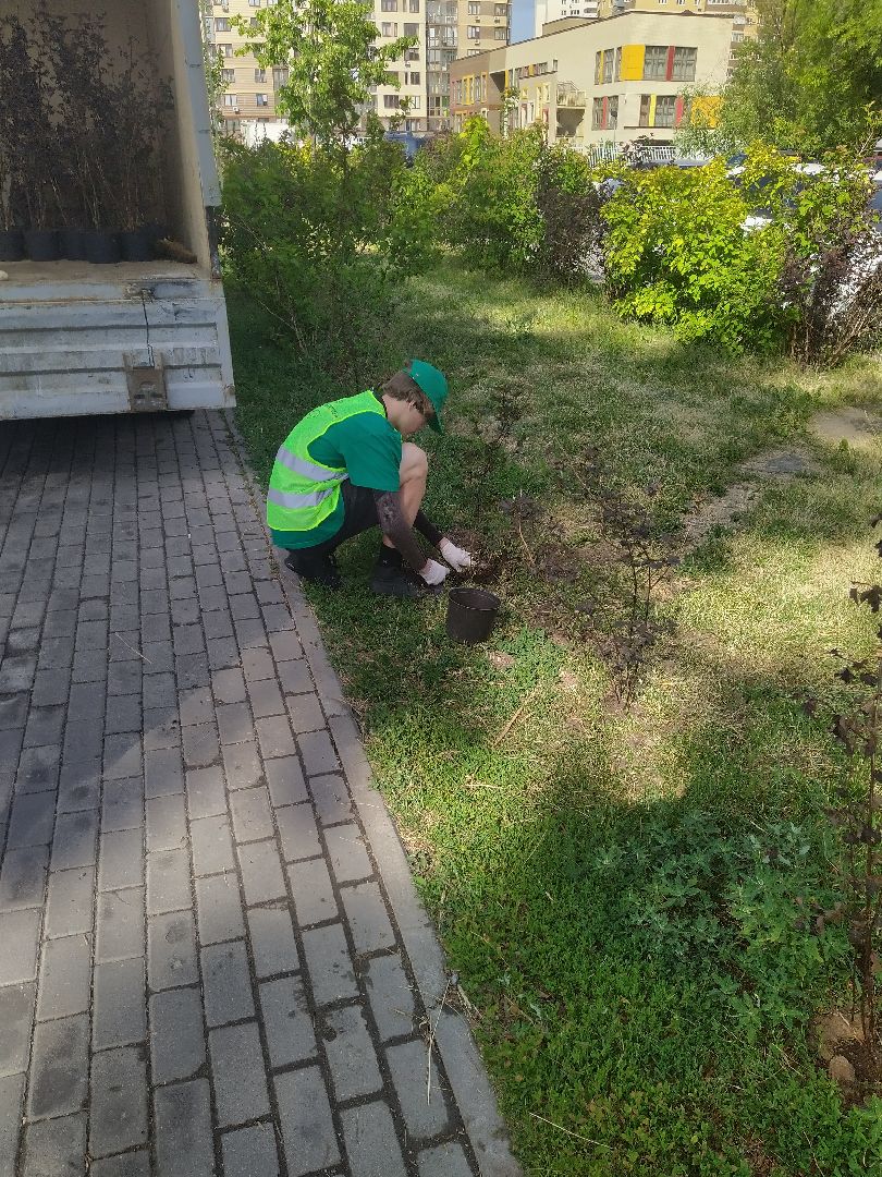 Долгопрудный, благоустройство, ЖКХ, озеленение, ЛТО, трудоустройство, подростки