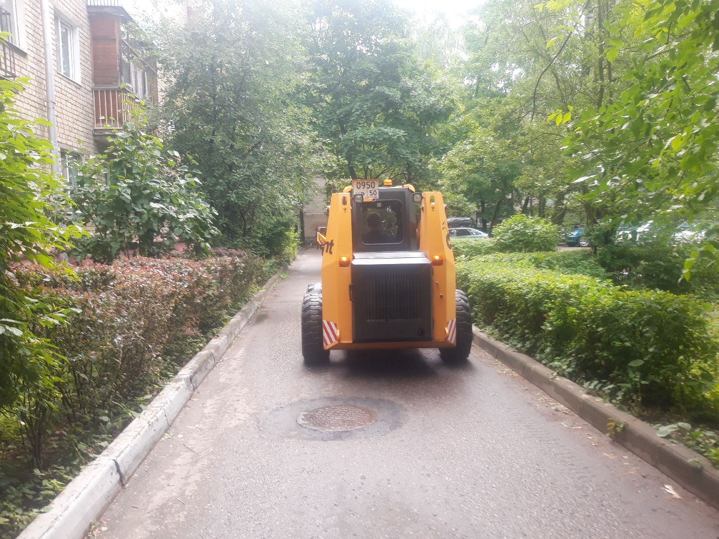 двор, доброе дело, дождь,