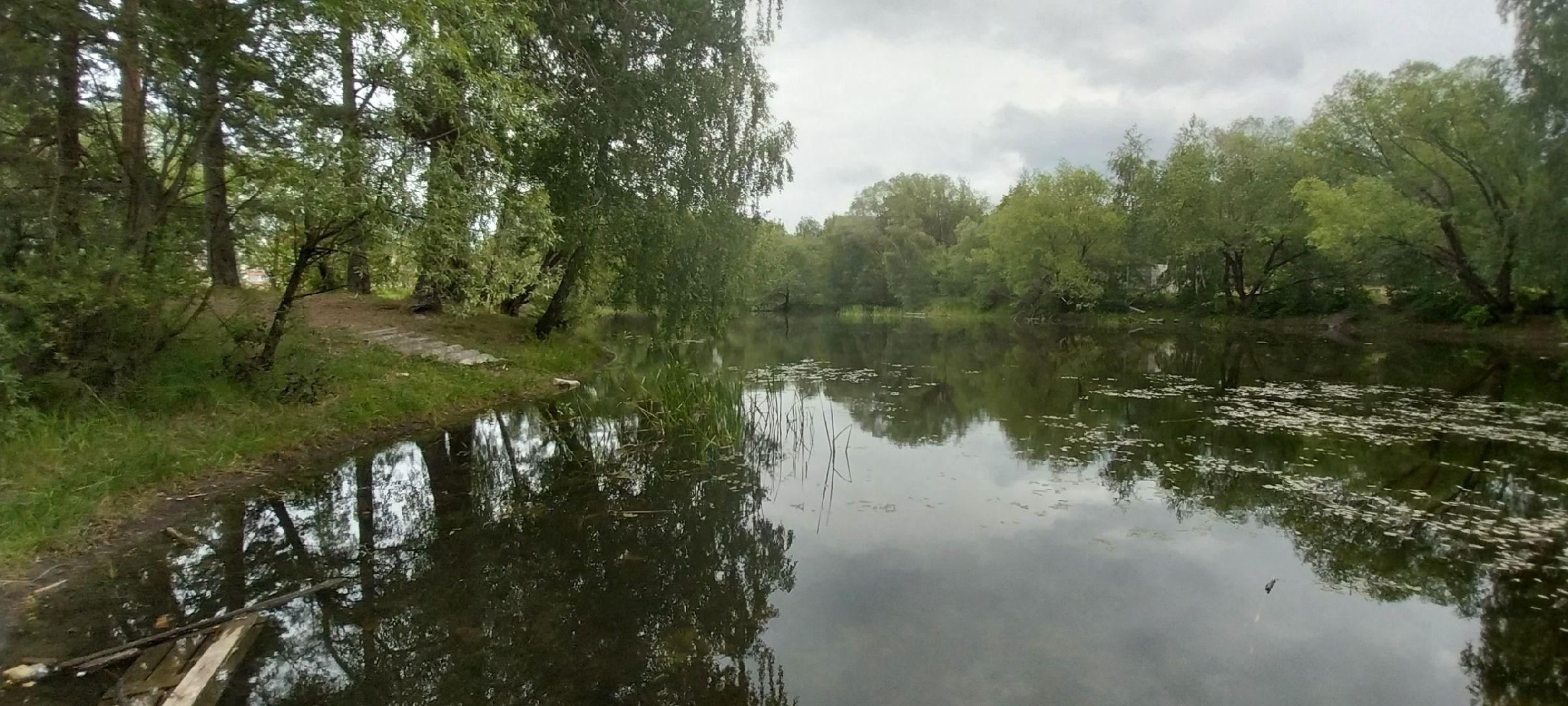 Коломна, благоустройство, пруд