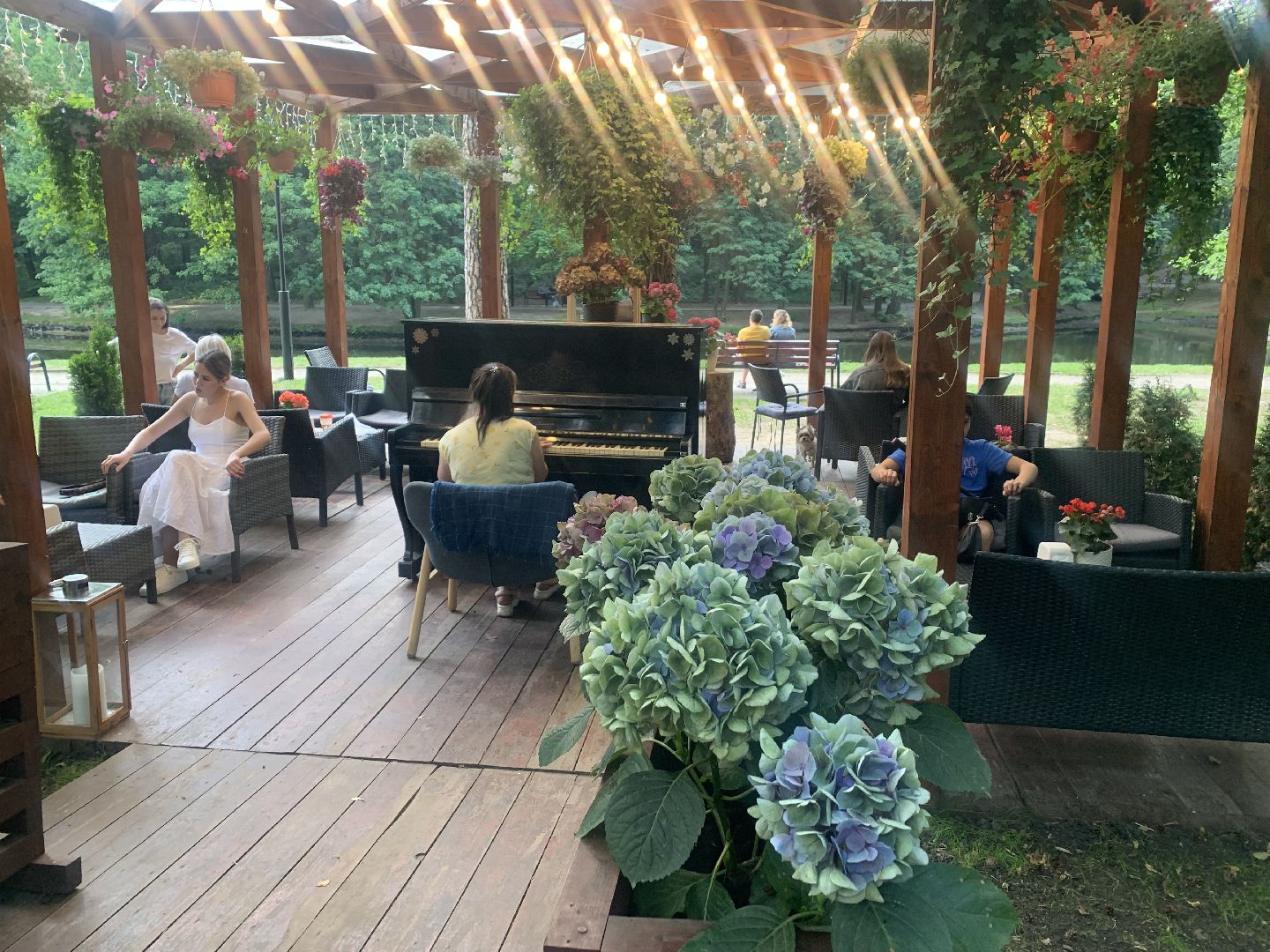 Музыка, пианино, дело жизни, Городской парк, лето в подмосковье,