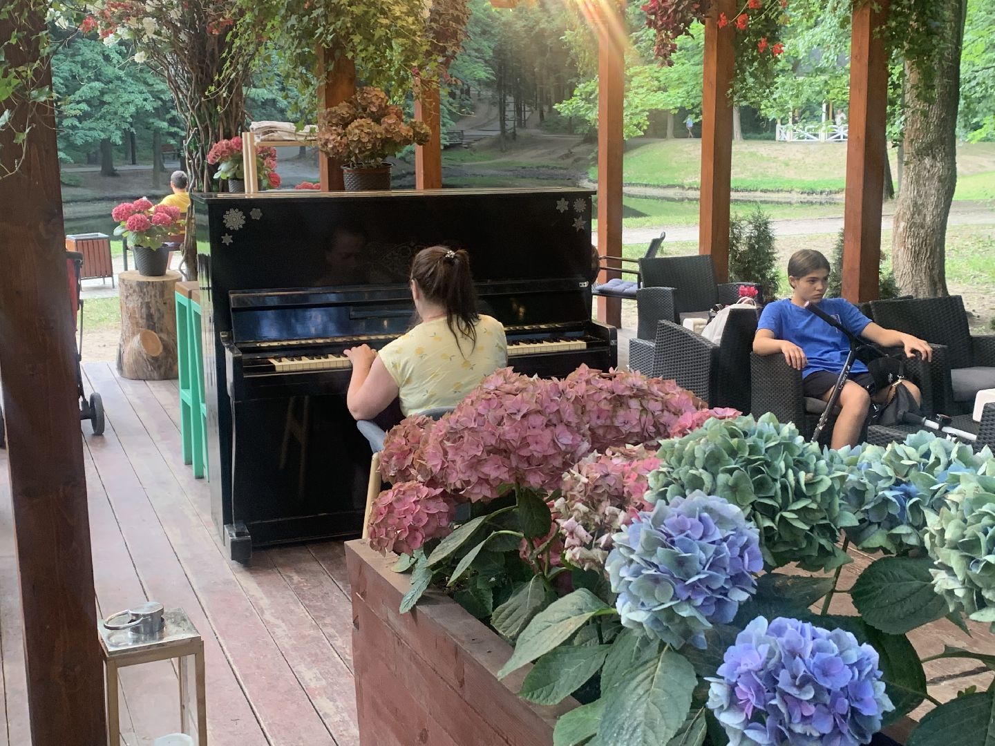 Музыка, пианино, дело жизни, Городской парк, лето в подмосковье,
