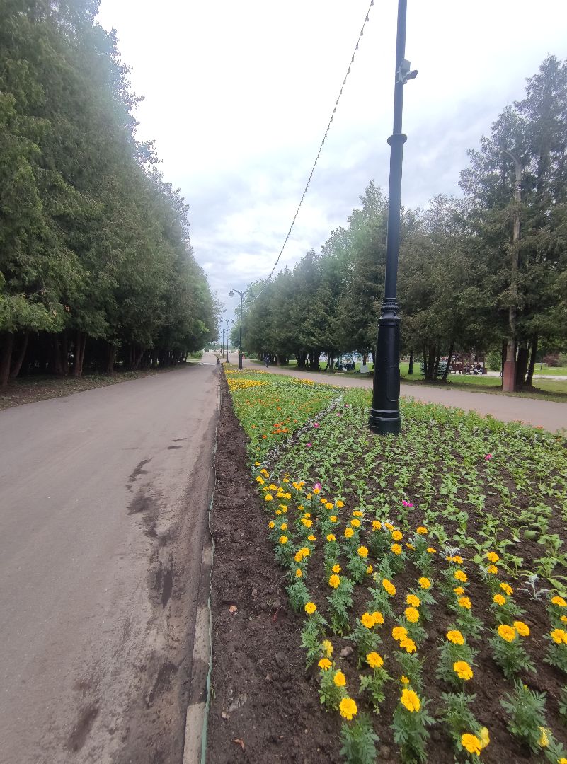 Клумба, цветы, благоустройство, Дубна