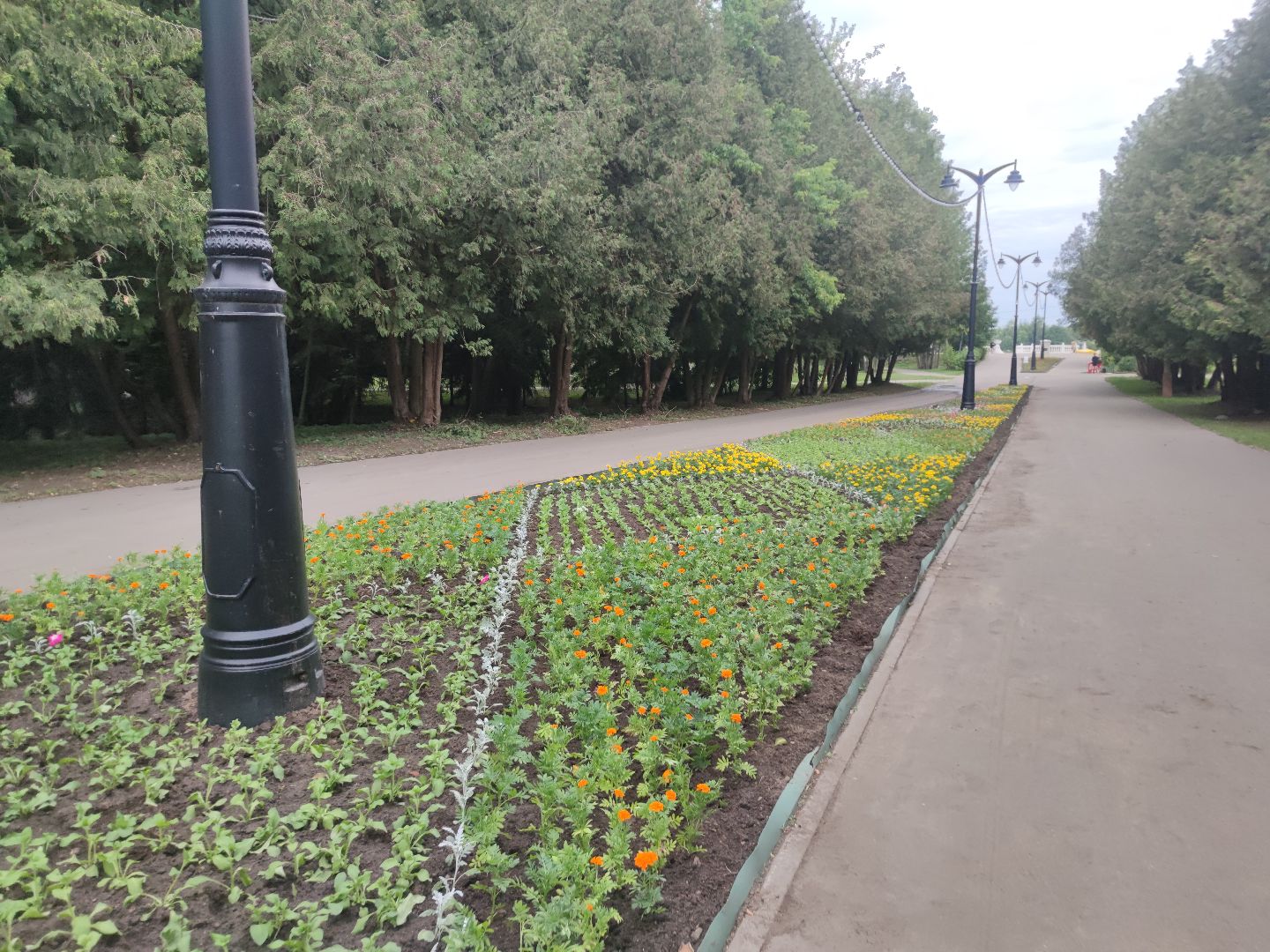 Клумба, цветы, благоустройство, Дубна