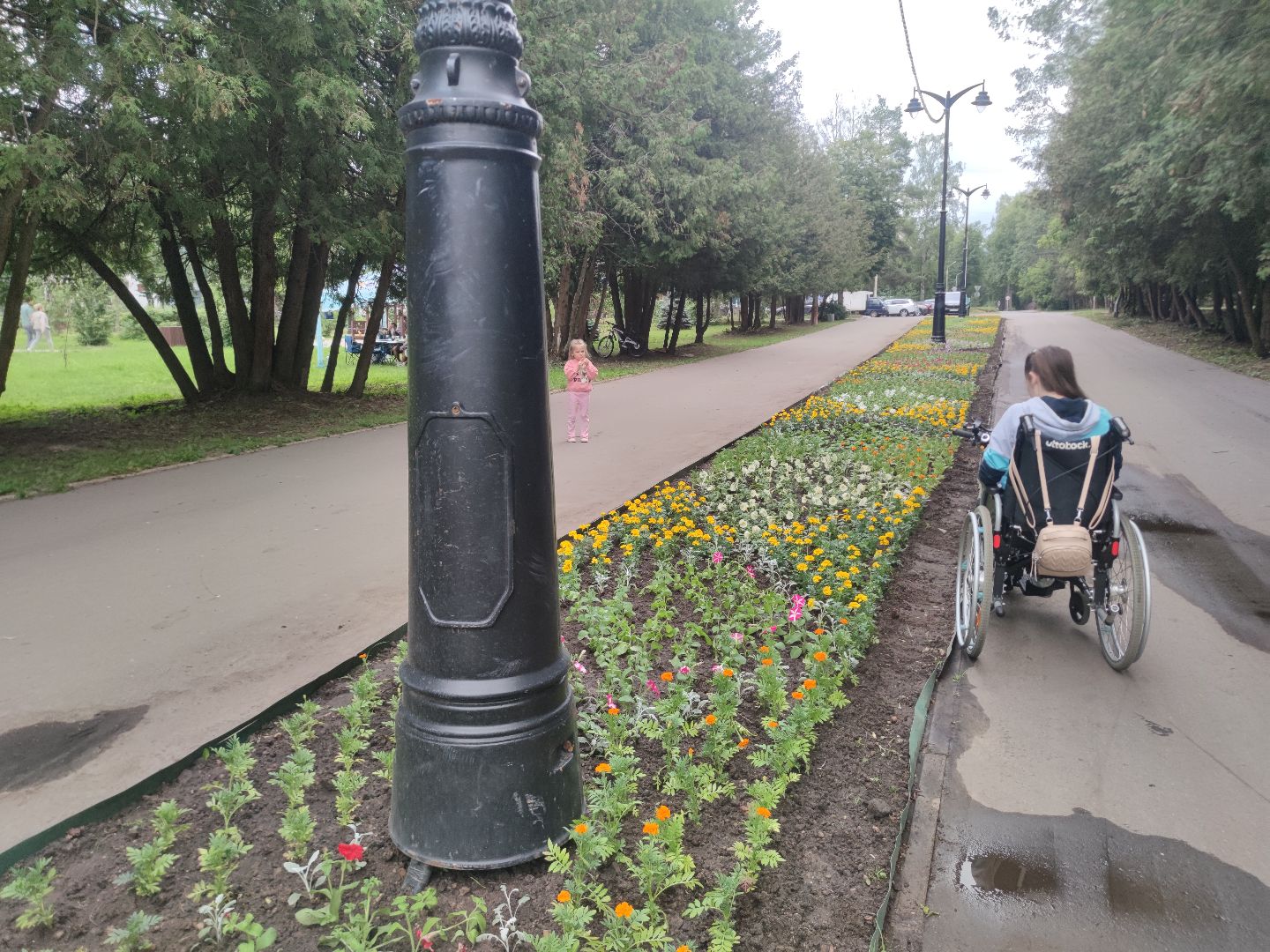 Клумба, цветы, благоустройство, Дубна