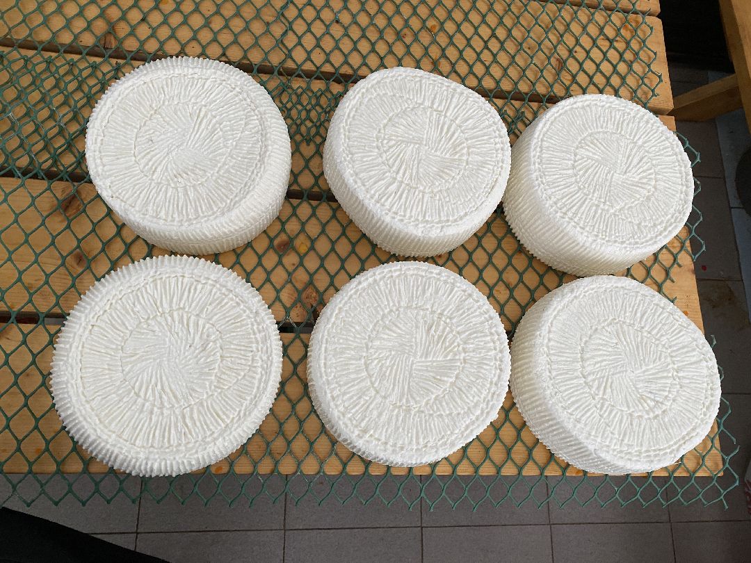 Сыр, хозяйство, молоко, ферма, Чехов