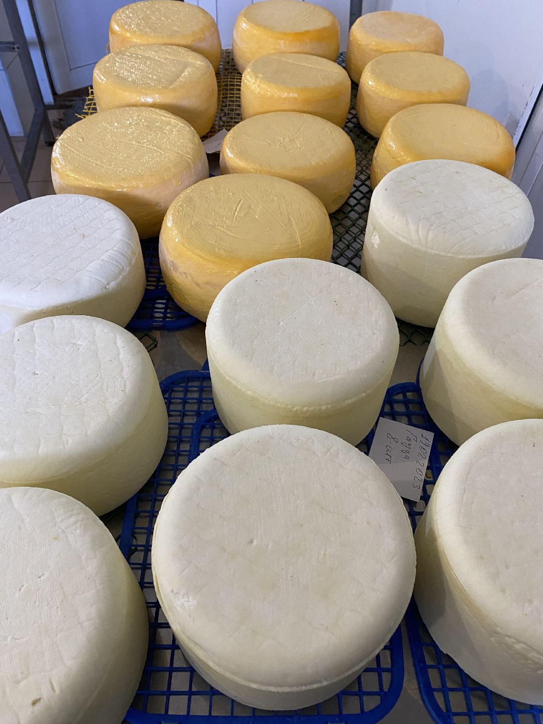 Сыр, хозяйство, молоко, ферма, Чехов