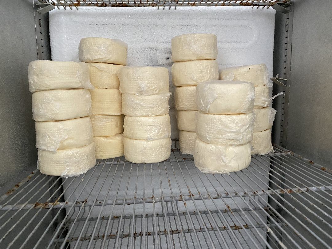 Сыр, хозяйство, молоко, ферма, Чехов