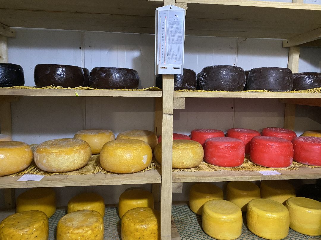 Сыр, хозяйство, молоко, ферма, Чехов