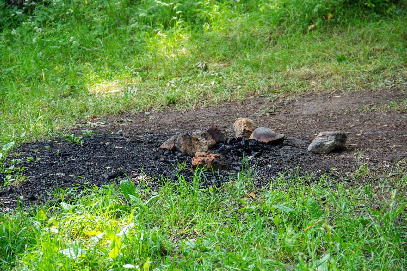 Подольск, экология, молодежь, чистота, уборка, забег