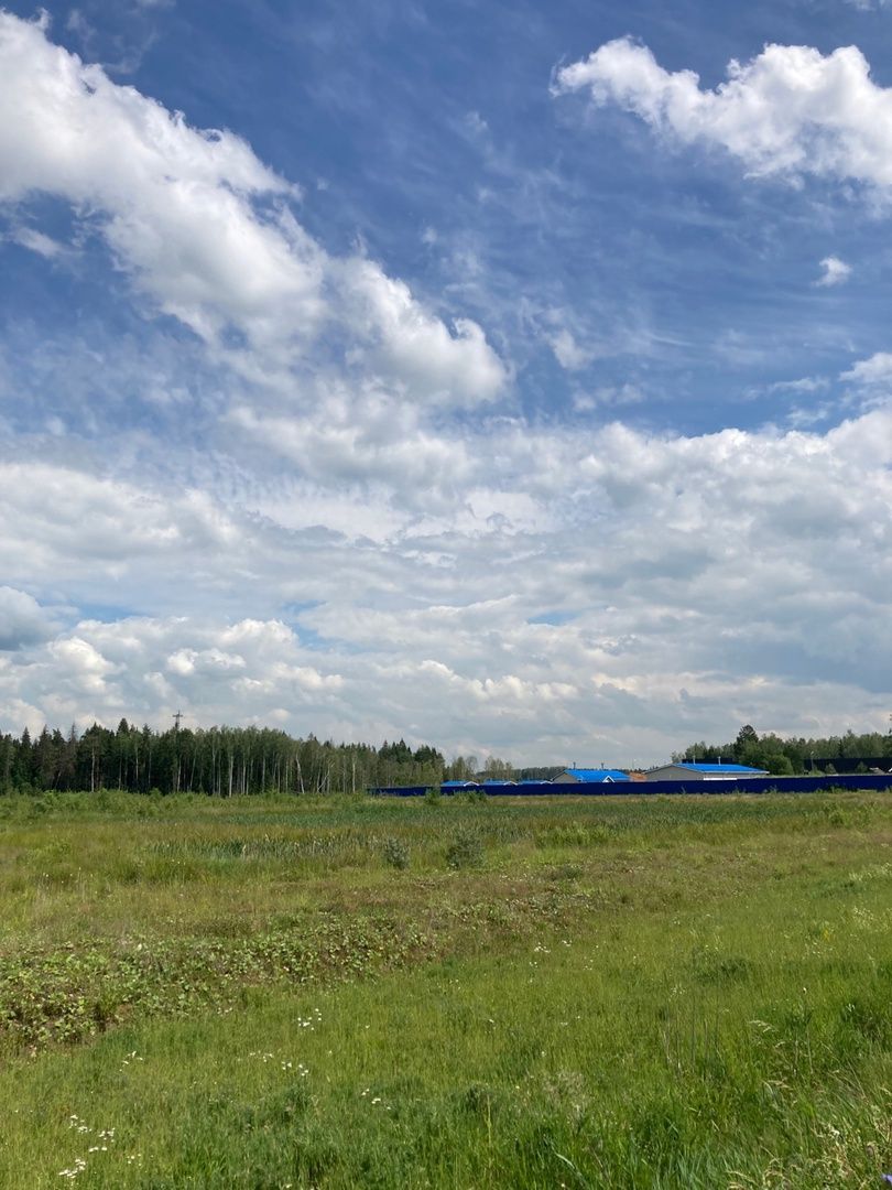 Солнечногорск, экономика, производство, фармацевтика, Есипово