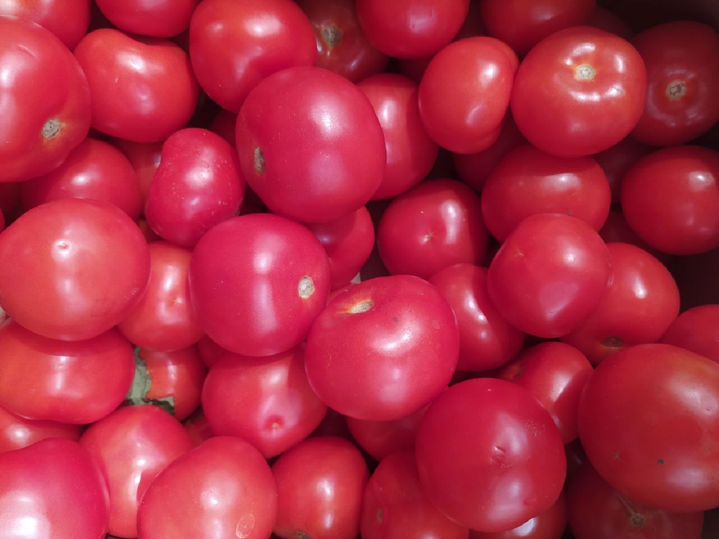 Дедовск, питание, диета, пляжи, отдых, шашлык