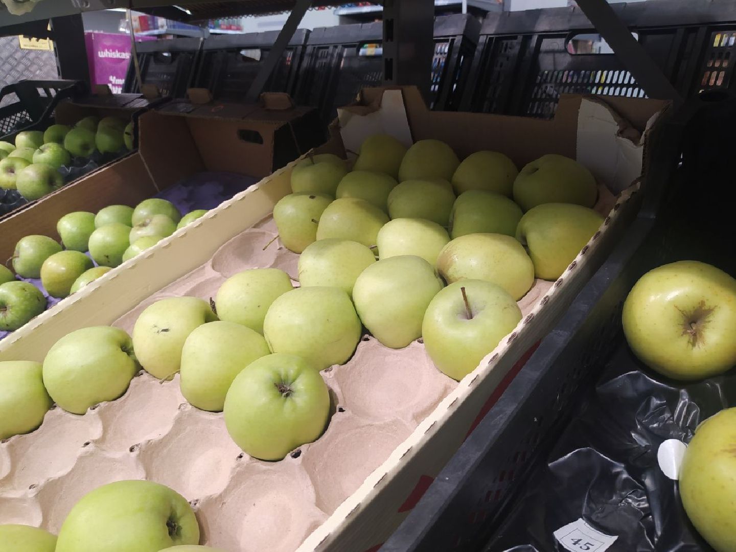 Дедовск, питание, диета, пляжи, отдых, шашлык