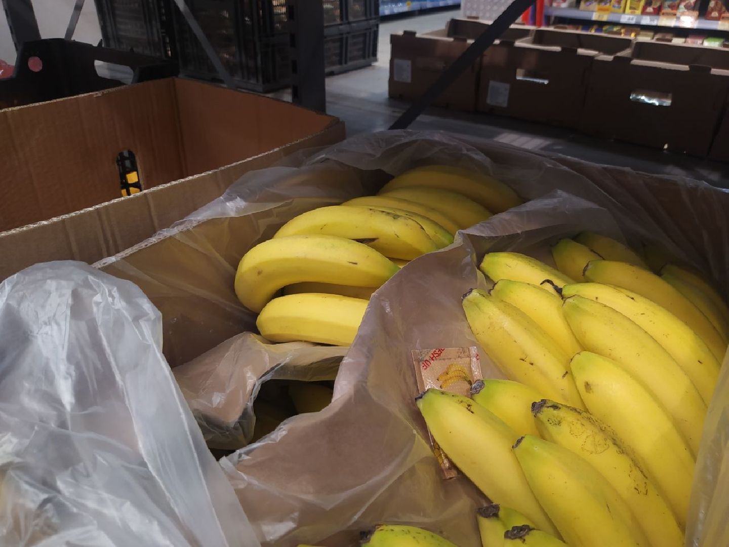 Дедовск, питание, диета, пляжи, отдых, шашлык