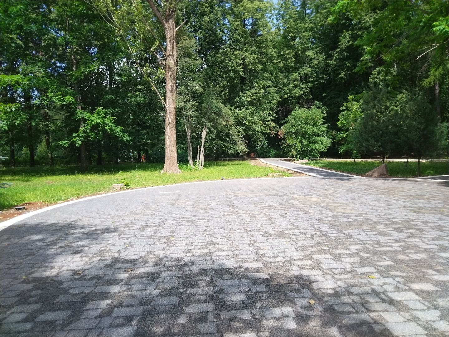 реконструкция парка, Мытищи, центральный парк, фонтан