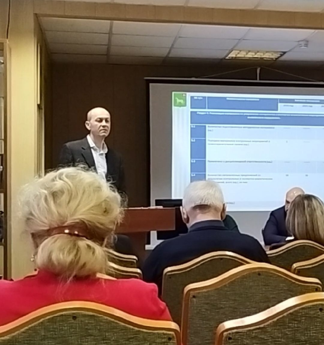 Совет депутатов, Бронницы