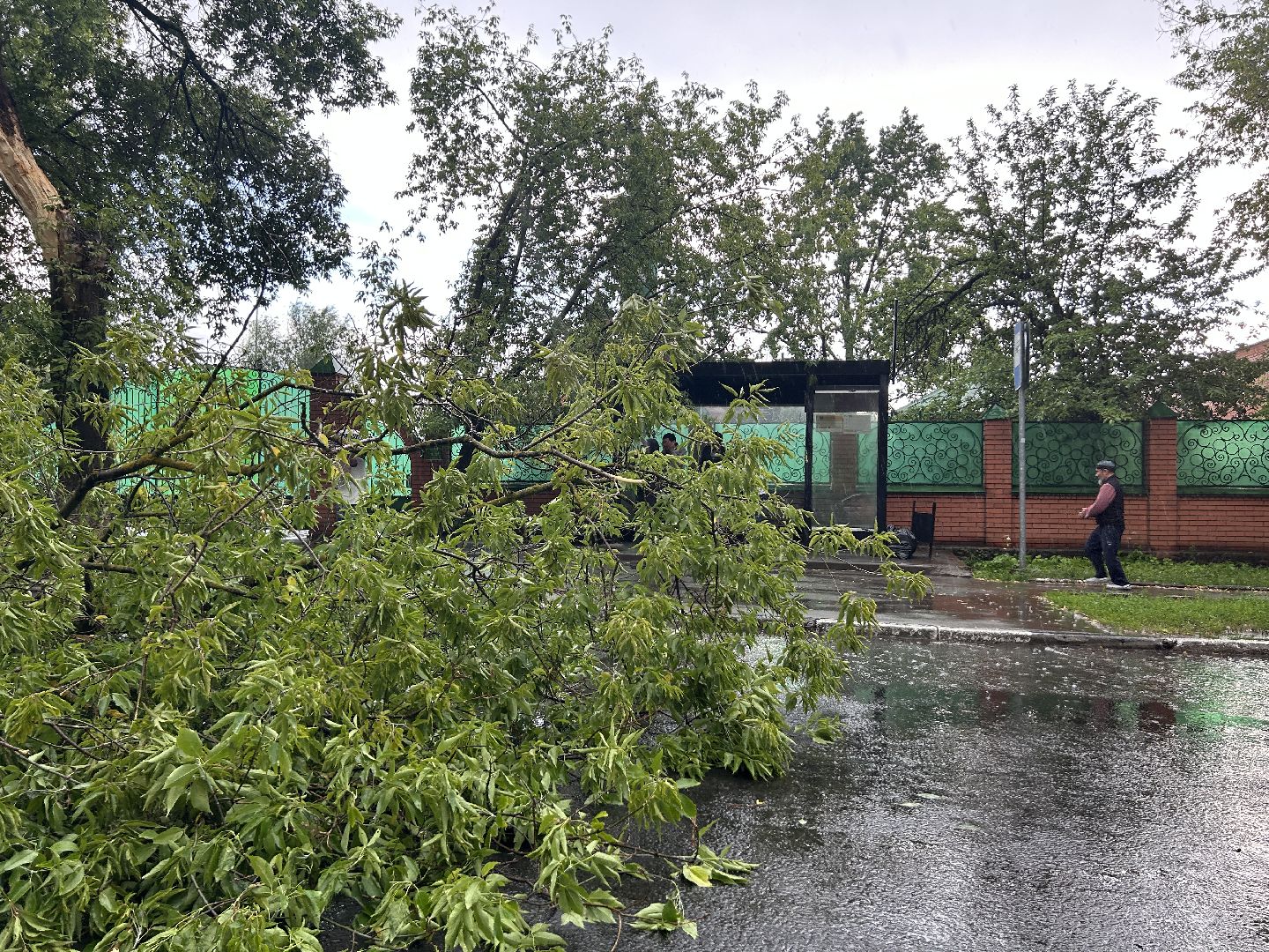 Происшествие, непогода, Фрязино