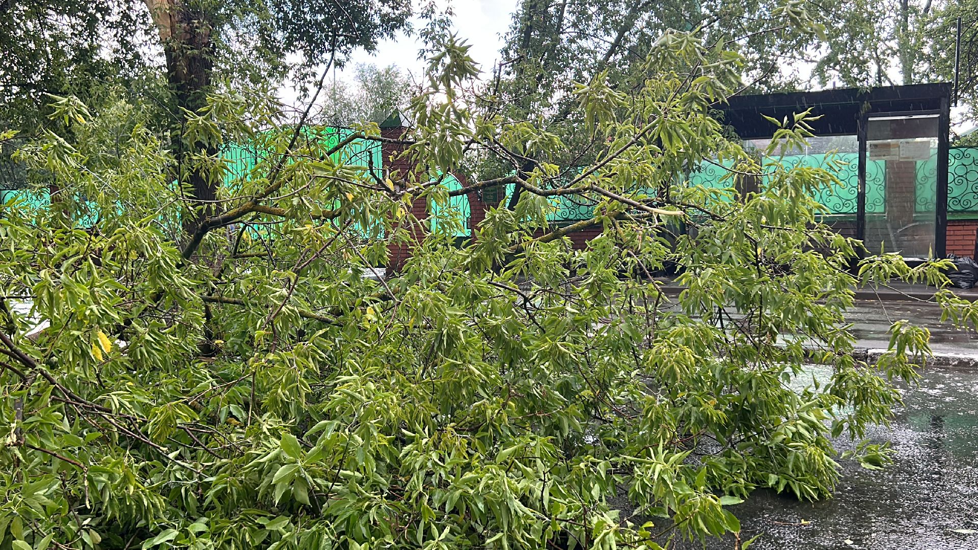 Происшествие, непогода, Фрязино