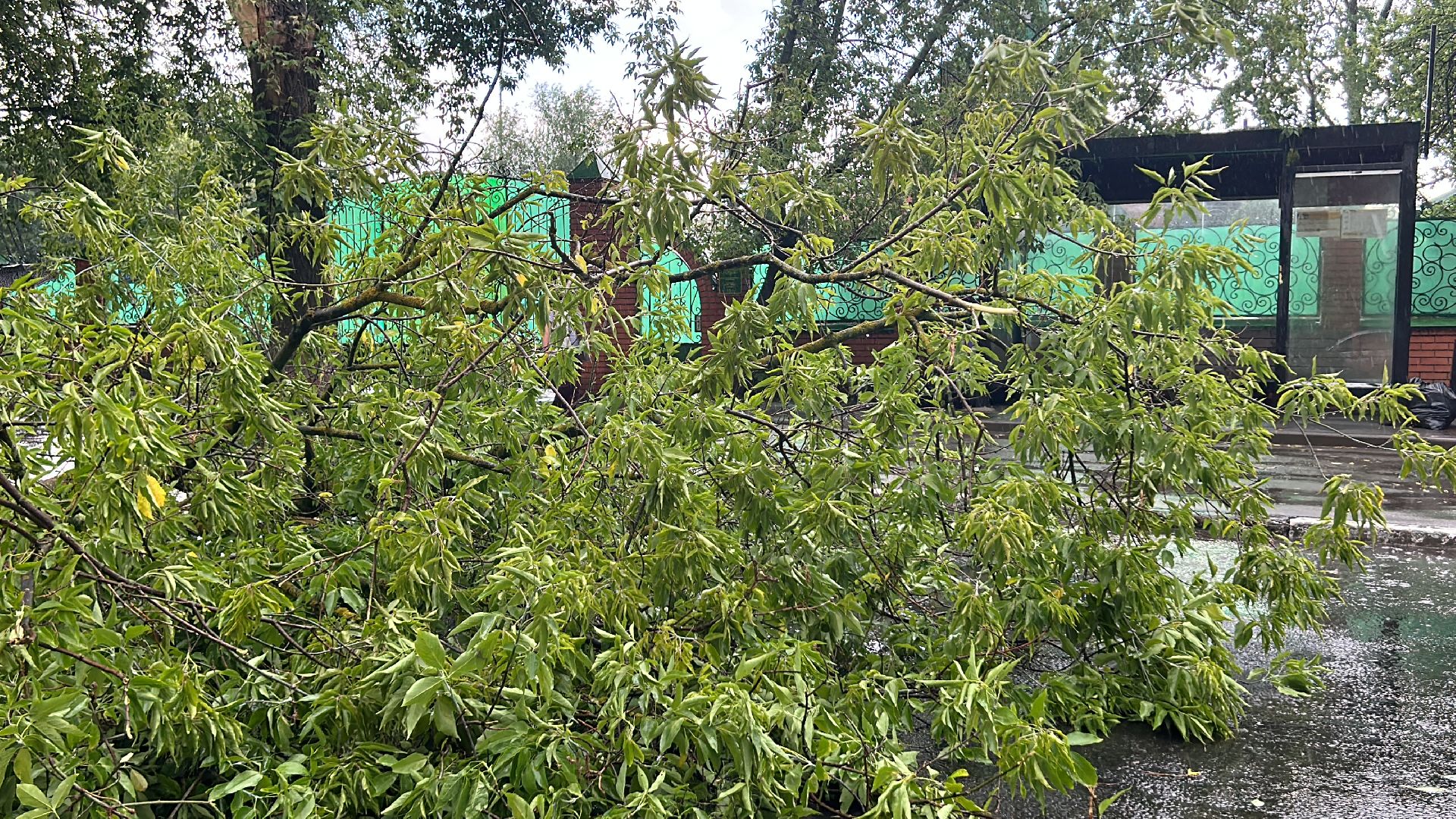 Происшествие, непогода, Фрязино