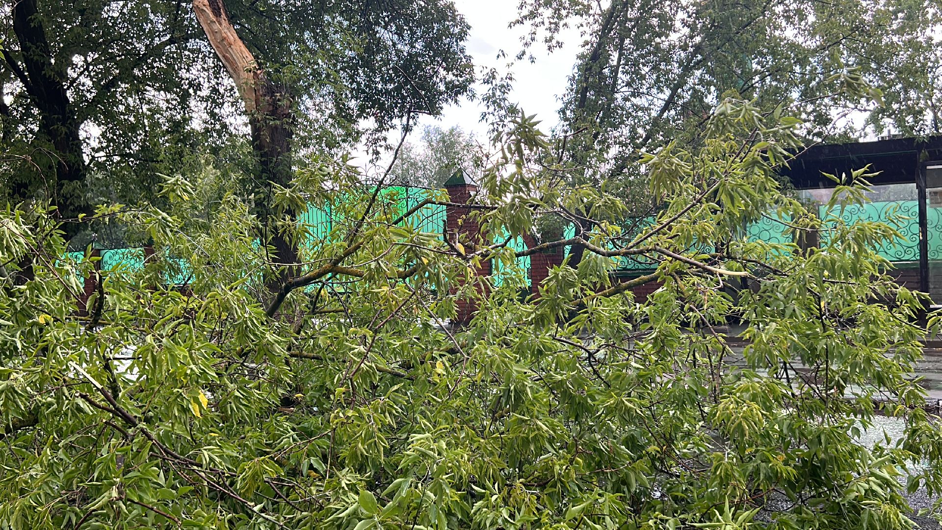 Происшествие, непогода, Фрязино