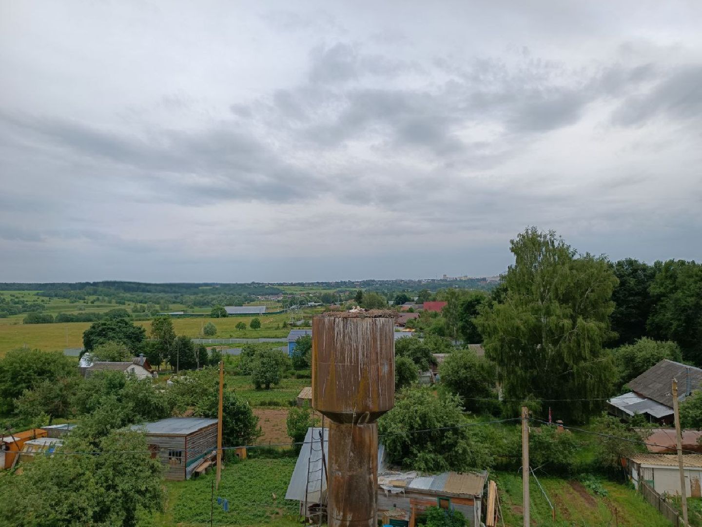 Можайск, Можайский городской округ, Подмосковье, экология, аисты, краснокнижные птицы, птенцы, спасение