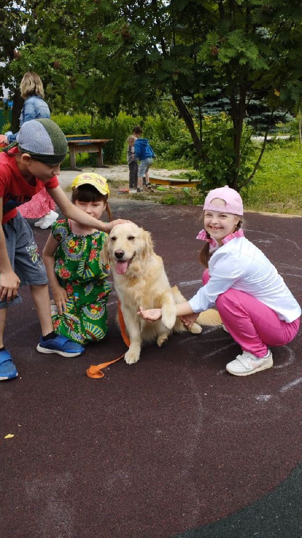 Подмосковье, Ивантеевка, общество