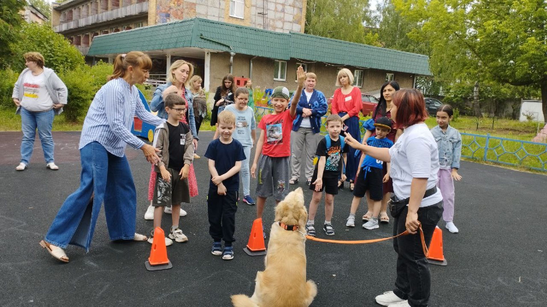 Подмосковье, Ивантеевка, общество