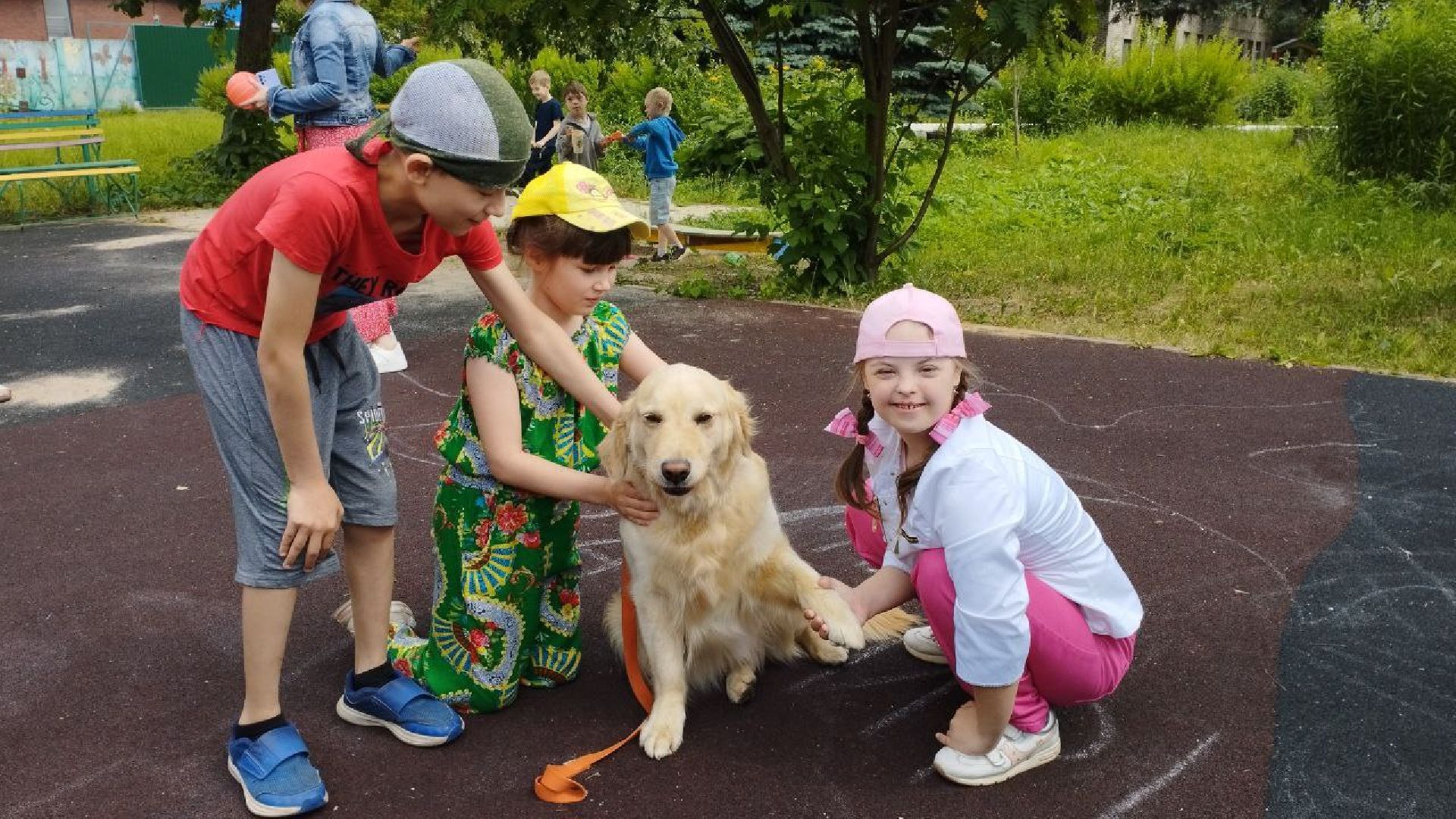 Подмосковье, Ивантеевка, общество