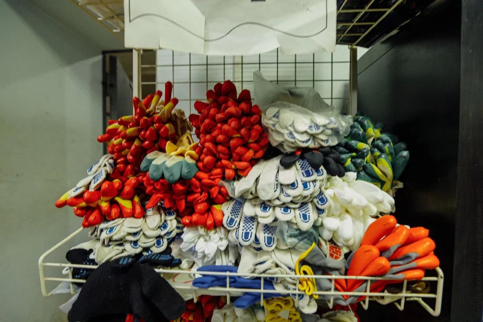 Экономика, перчатки, импортозамещение, производство, Орехово-Зуево