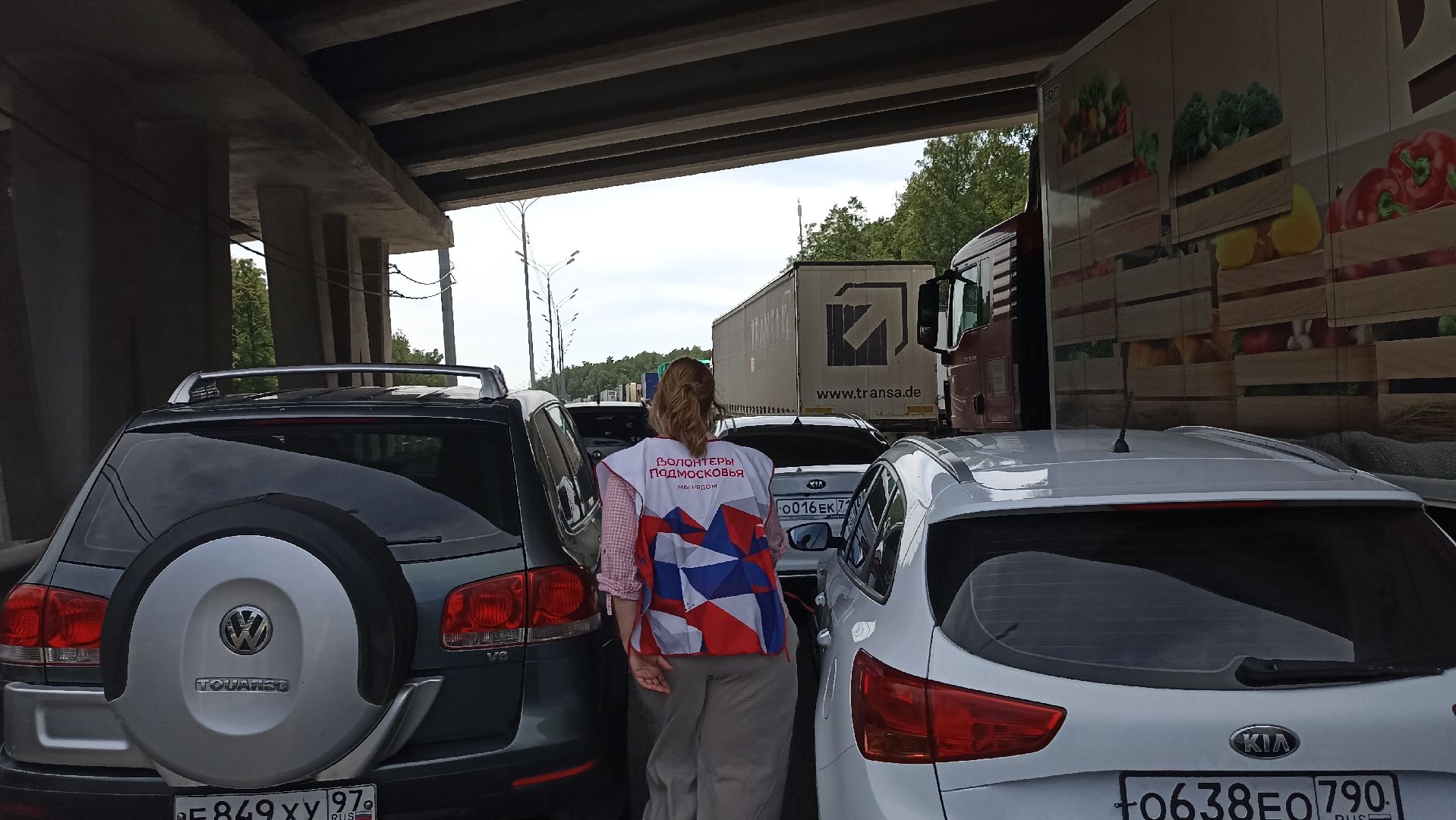 Серпухов, Подмосковье, волонтеры, трасса М-2, Симферопольское шоссе