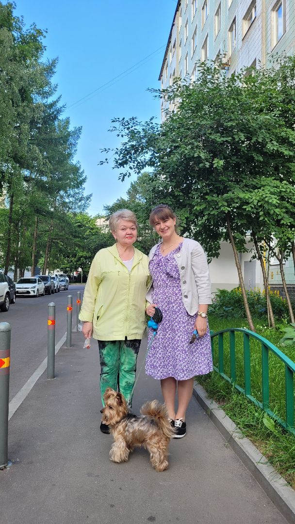 цветы; сад; видное; растения