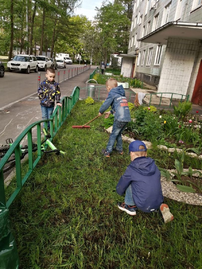 цветы; сад; видное; растения