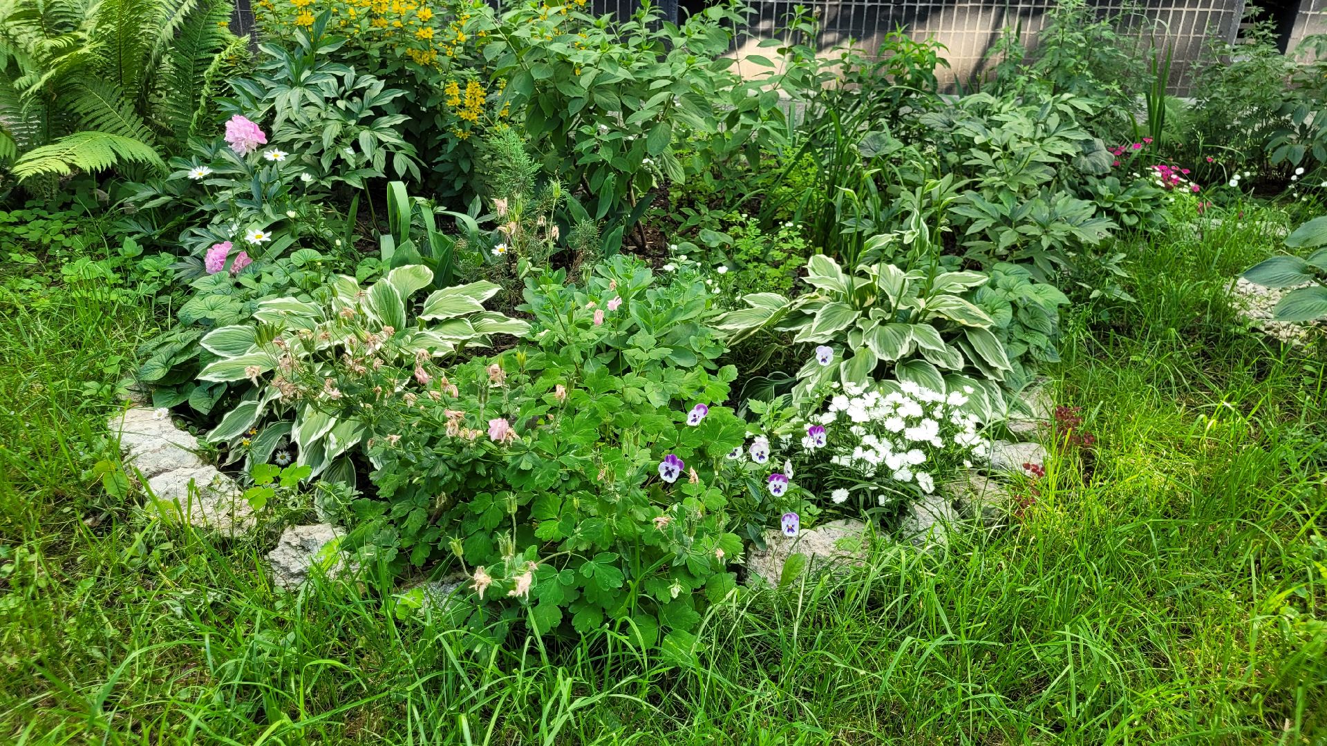 цветы; сад; видное; растения