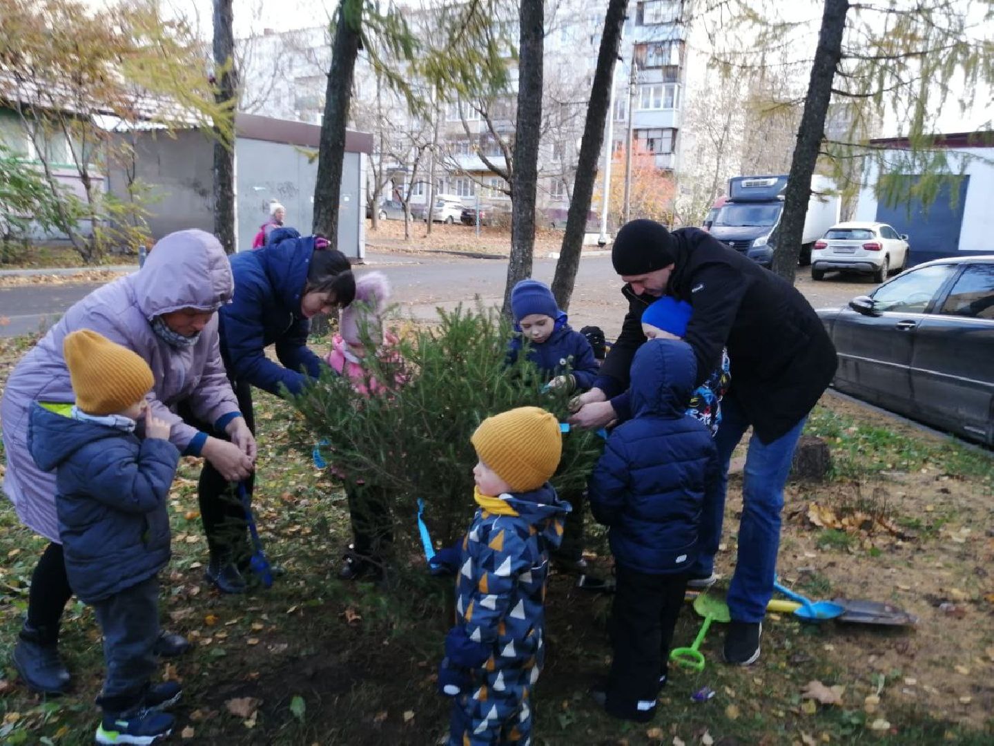 цветы; сад; видное; растения