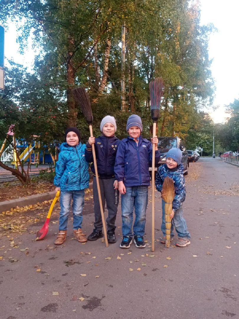 цветы; сад; видное; растения