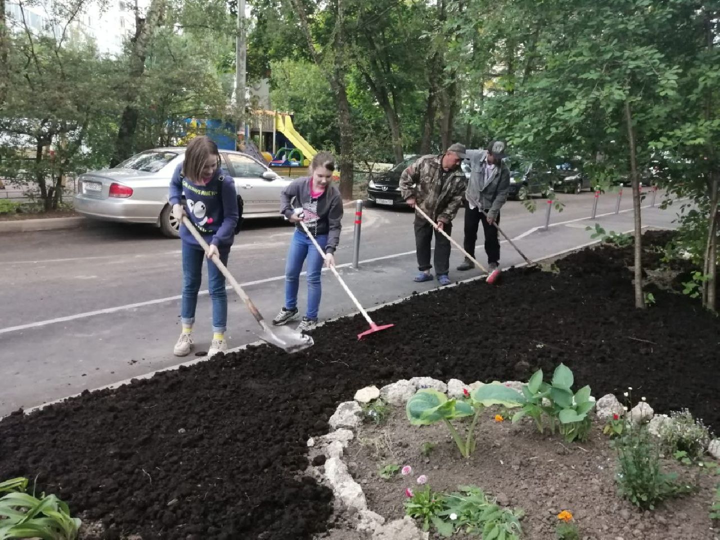 цветы; сад; видное; растения