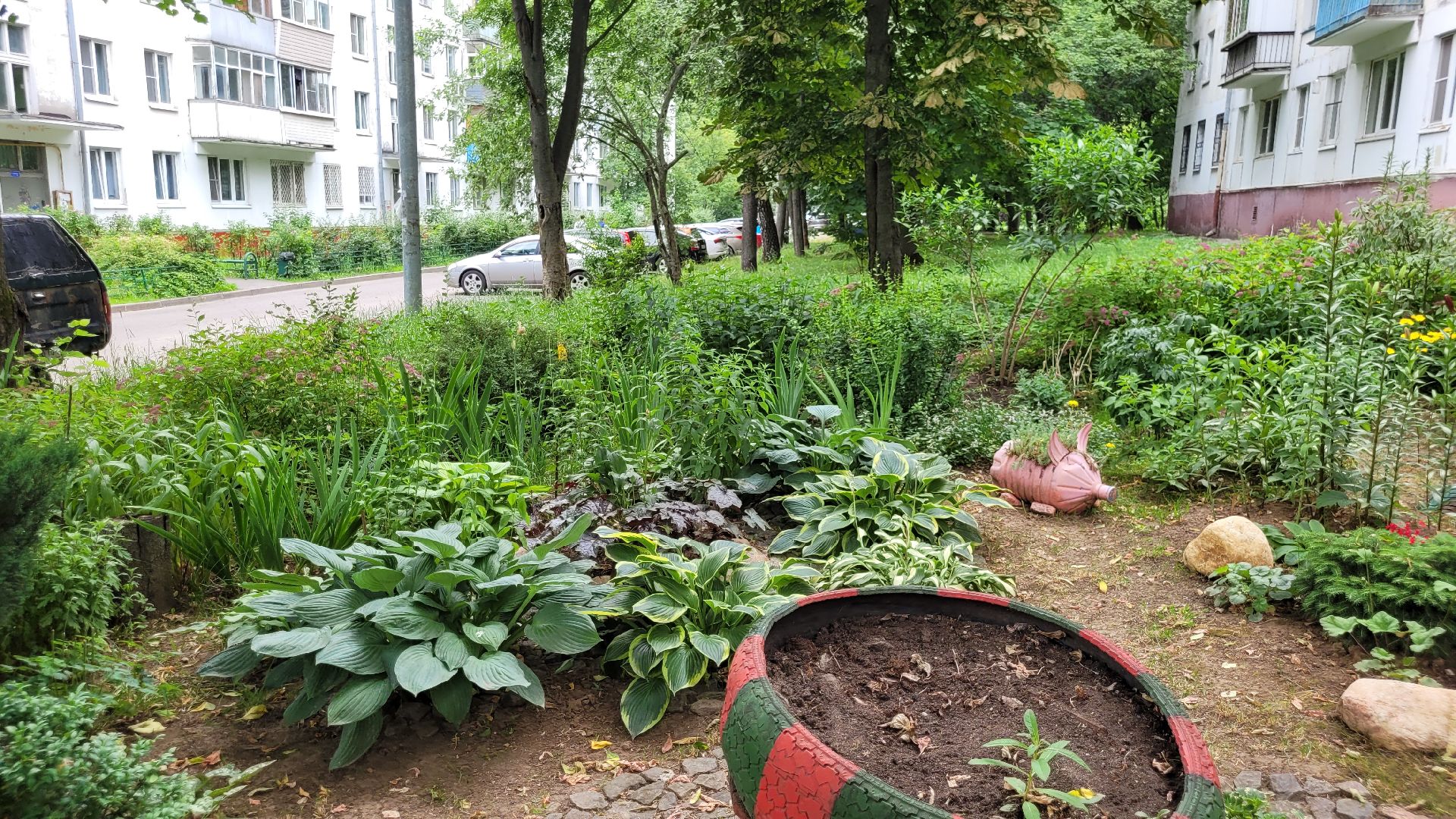 цветы; сад; видное; палисадник; искусство