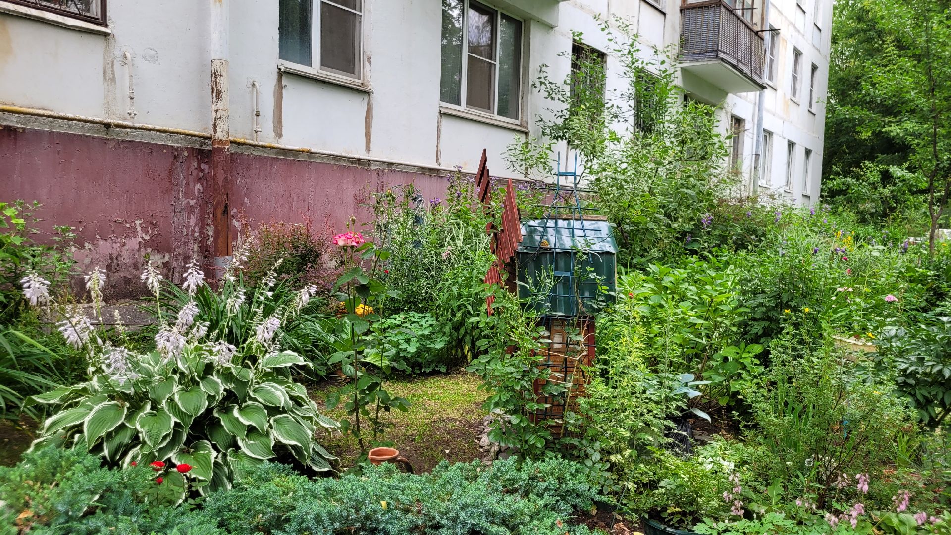 цветы; сад; видное; палисадник; искусство