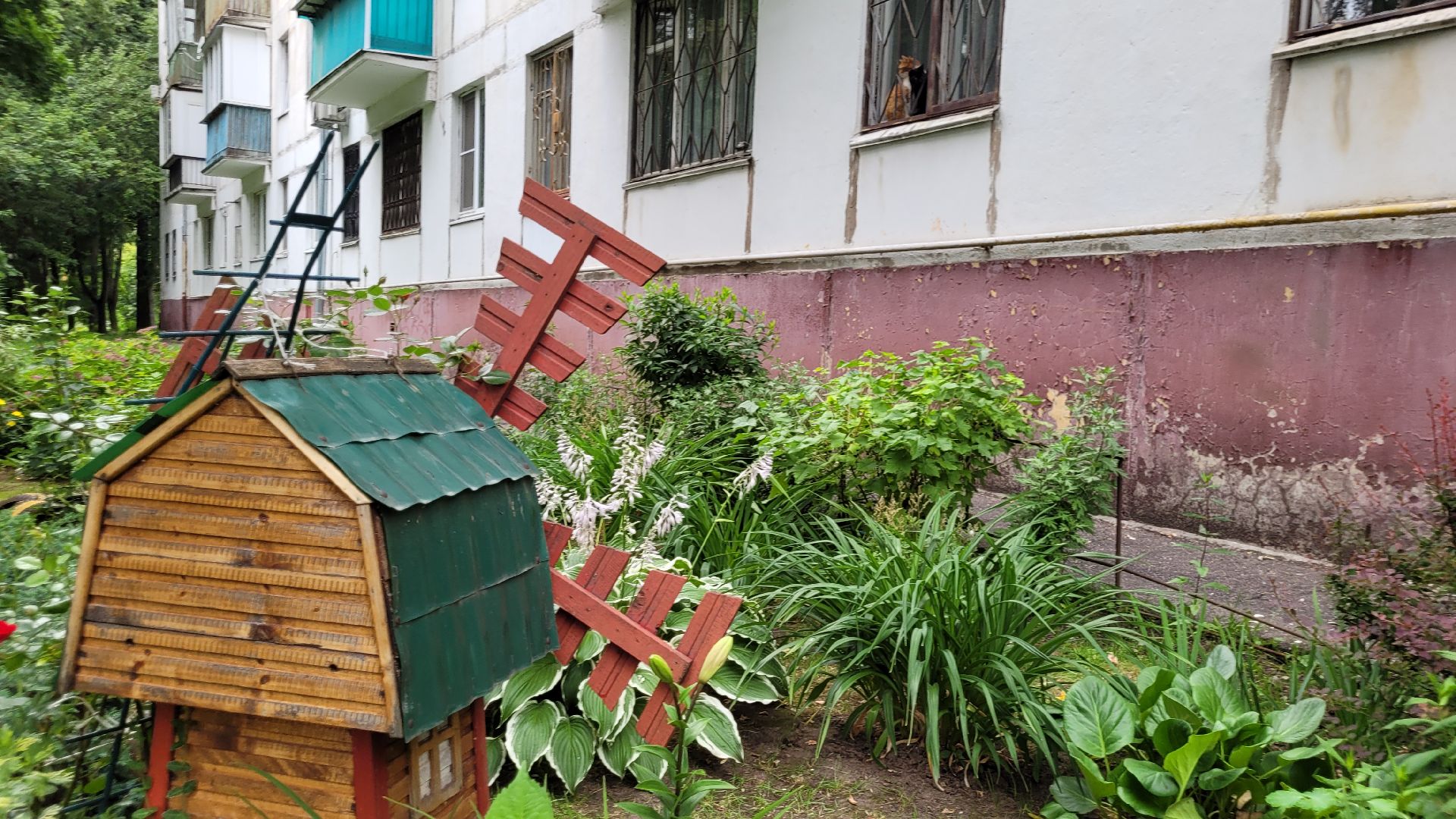 цветы; сад; видное; палисадник; искусство