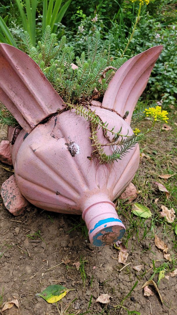 цветы; сад; видное; палисадник; искусство
